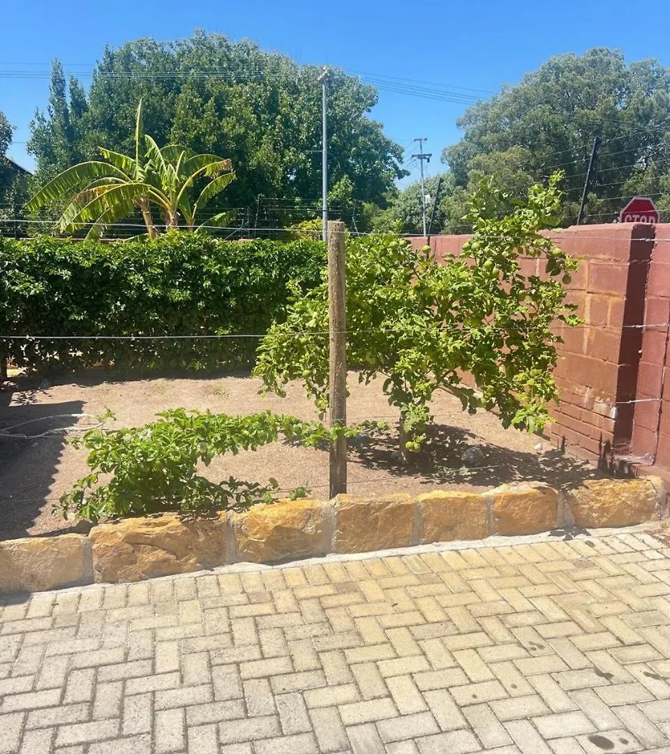 Triple S Guest House Κέιπ Τάουν Νότια Αφρική